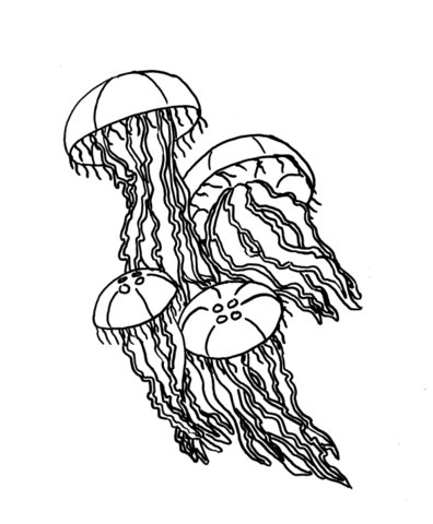 Kolorowanka Meduzy - Kreatywna Zabawa dla Dzieci kolorowanka do druku